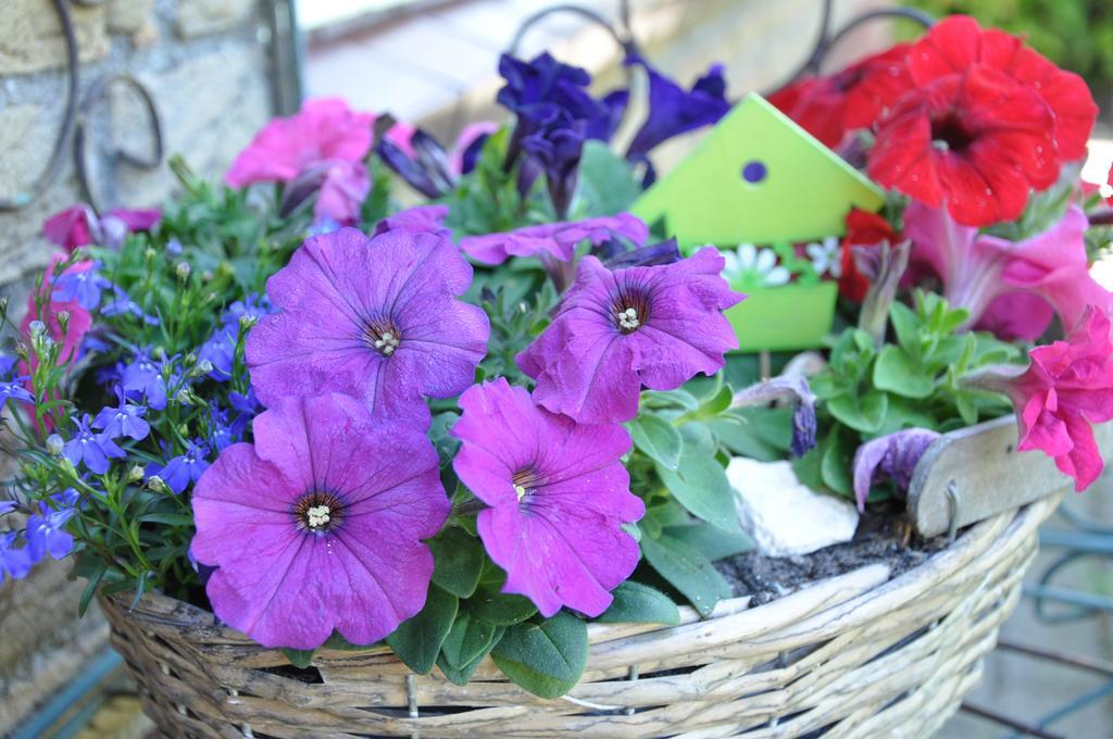 نودوربْ Bed En Breakfast Molenzicht المظهر الخارجي الصورة